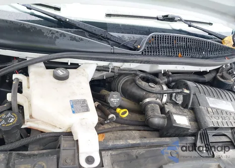 2020 Chevrolet Express Passenger Rwd 3500 Extended Wheelbase Lt из США, поврежденный, VIN 1GAZGPFG9L1148820